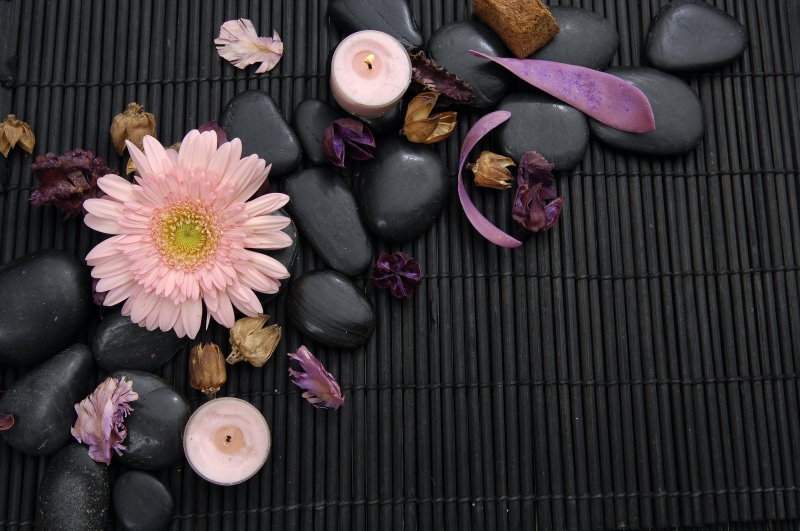 petal, beauty in nature, health Spa, backgrounds, pebbles, close-up, white, daisy, body Care, flower, alternative Therapy, leaf, beauty, inflorescence