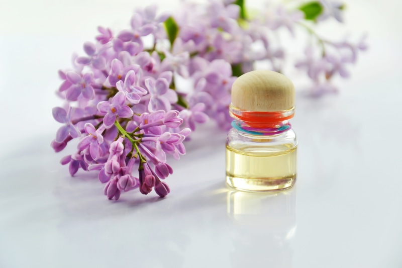 scented, glass - material, alternative, freshness, wellness, plant, beauty in nature, still life, purple, science, spa, close-up, essential oil, perfume