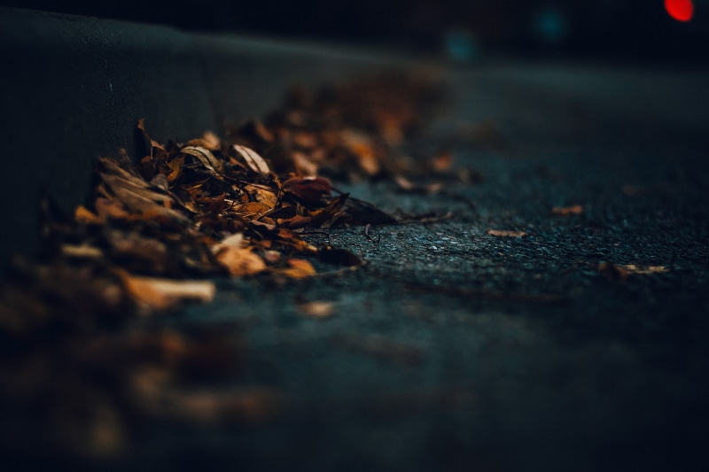 yellow, messy, 4K, nature, fragility, dry, scented, leaves, road, dried, falling, food, selective focus, street, autumn, wood - Material, natural condition