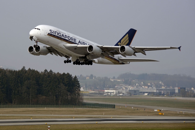 air Vehicle, day, plant, travel, no people, departure, landing - Touching Down, fly, airbus, airport Runway, business Travel, singapore, airline, nature