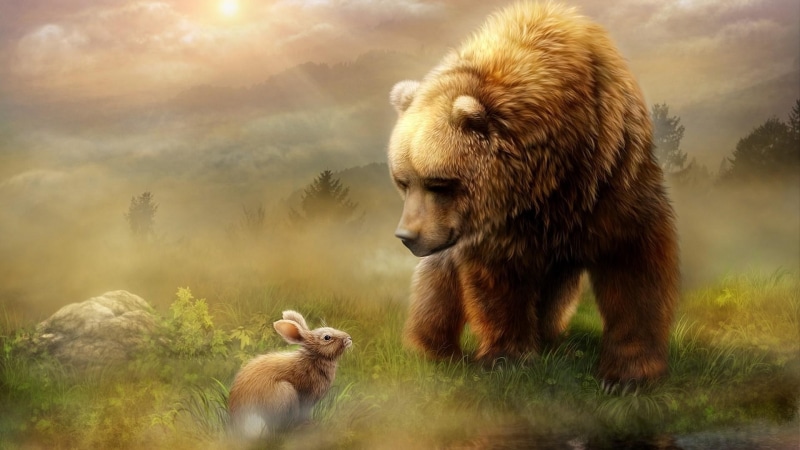 bunny, dreamy, art, artwork, 1080P, grass, rabbit, artistic, nature, fantasy art, brown bear, wildlife, bear, fairytale, tail, field