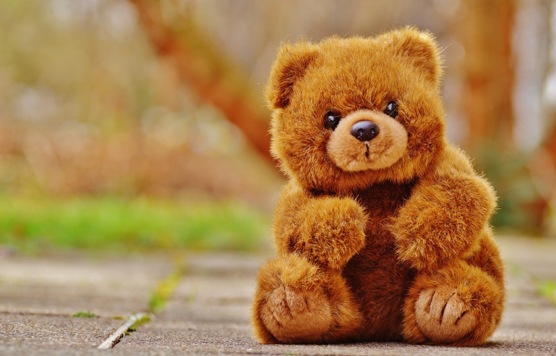 focus on foreground, day, portrait, soft toy, stuffed animal, nature, sweet, animal themes, toys, children toys, stuffed toy, funny, brown, 5K, bear, animal
