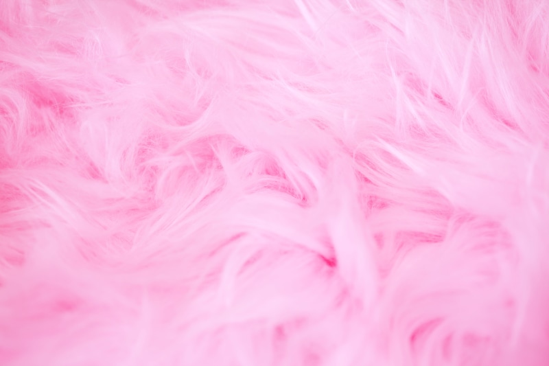 close-up, selective focus, 5K, abstract, texture, softness, feather, material, fur, pink color, full frame, textile, wool, indoors, pastel colored, wealth