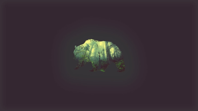 plant, nature, 1080P, no people, green color, bear, beauty in nature, cave, illuminated, forest, simple, green, dark, growth, indoors, studio shot, night