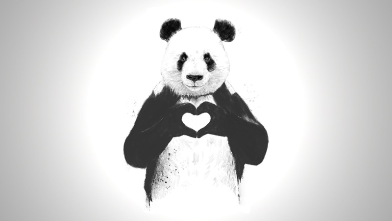 portrait, animal wildlife, animal themes, white background, indoors, bear, heart, cut out, no people, front view, animal representation, animal head