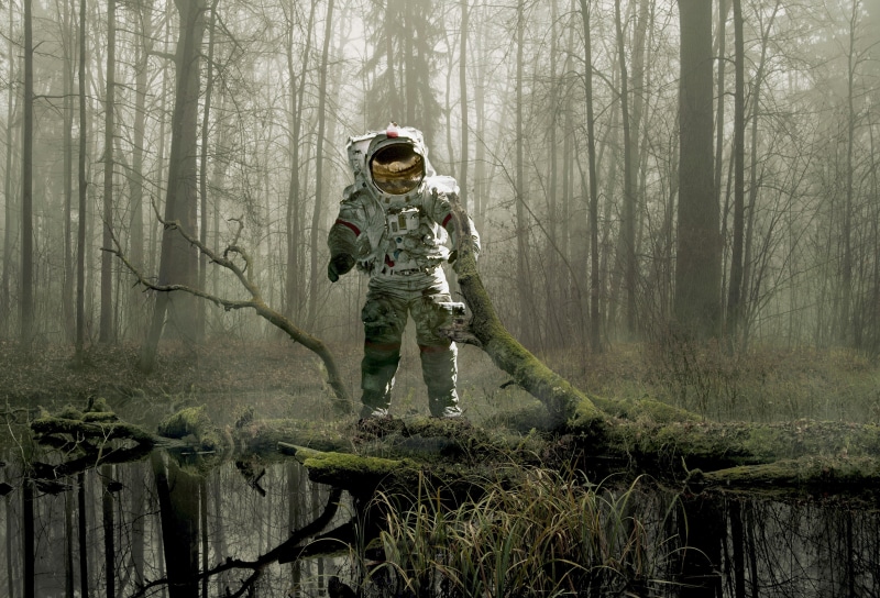 Forest, Earth, d, Space suit, 4K, Astronaut, trees, 4K