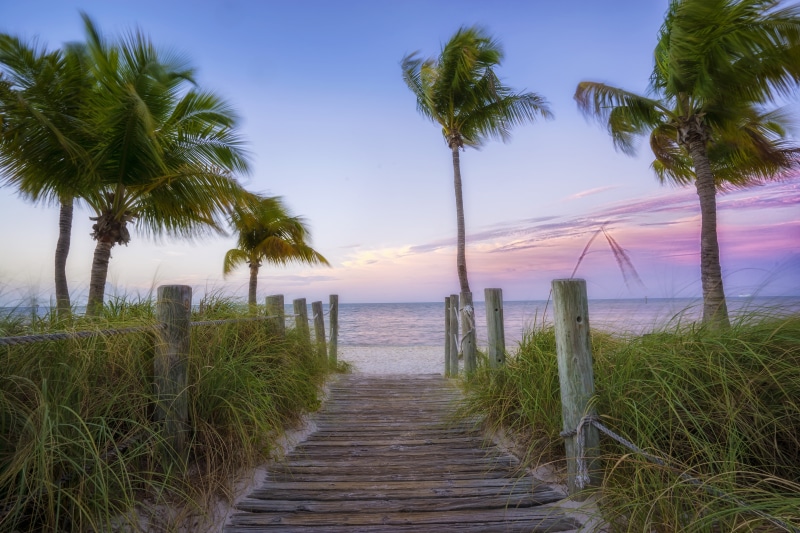 photography, Sky, near, 5K, Island  beach, Clouds, Morning, nature, Movement, water, west, Win, sea, body of water, Path, Palm  Trees, West  Island, beach