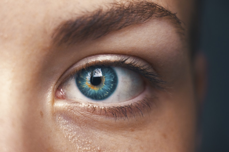 eyed, females, focus, left, iris - Eye, close, beautiful people, no lies, close-up, eyesight, eyeshadow, adult, beauty, human body part, macro, one Person