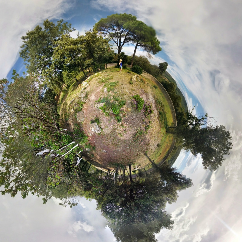 green natural, environmental, tree, cloud - sky, reflection, plant, green energy, growth, degree, forest, planet earth, solar, photography, fish-eye lens