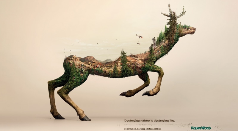 art and craft, life, illusion, reptile, tree, chameleon, full length, 2K, lizard, no people, side view, EnvironmentalActivists, Charity, animal, awareness