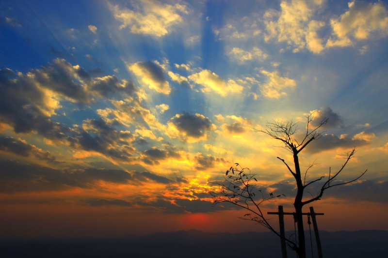 idyllic, scenics - nature, dramatic sky, beautiful, romantic sky, orange, yellow, cloud, 5K, white, sky, sunset, outdoors, tree, tranquil scene, sunlight