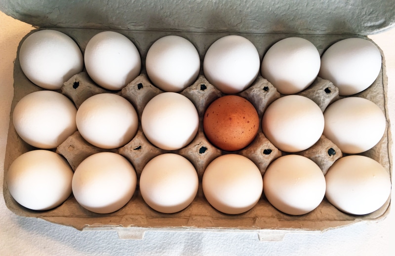 eggs, surprise, freshness, carton, box, food and drink, raw food, crate, indoors, fragility, container, arrangement, egg carton, egg, easter, healthy eating