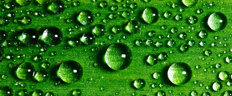 nature, green, close-up, green leaf, dew, Water, backgrounds, green Color, Drops, leaf, drop, Explored, nikkor, freshness, vr, 105mm, sb-900, macro, d300