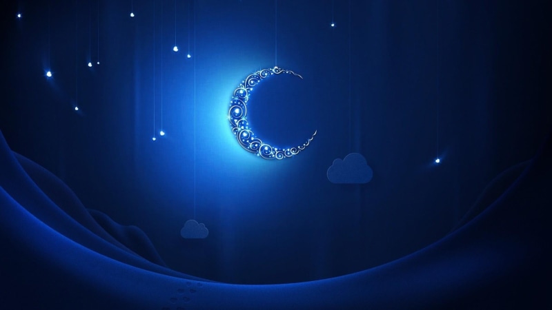 marine, invertebrate, sea, animals in the wild, sea life, moon, undersea, water, ramadan, space, nature, sky, no people, animal, muslim, dark, illuminated