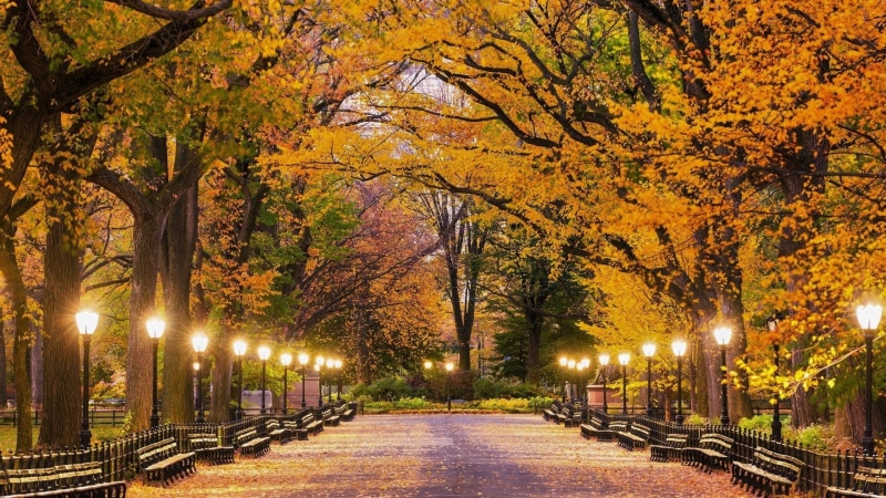 1080P, New York, Park, Central Park, Fall, Man Made, Light, Lamp Post