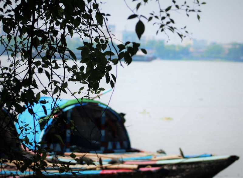 4K, sea, nature, no people, ganga, sky, beauty in nature, growth, kolkata, outdoors, transportation, rowboat, leaf, fishing boat, plant part, branch, plant