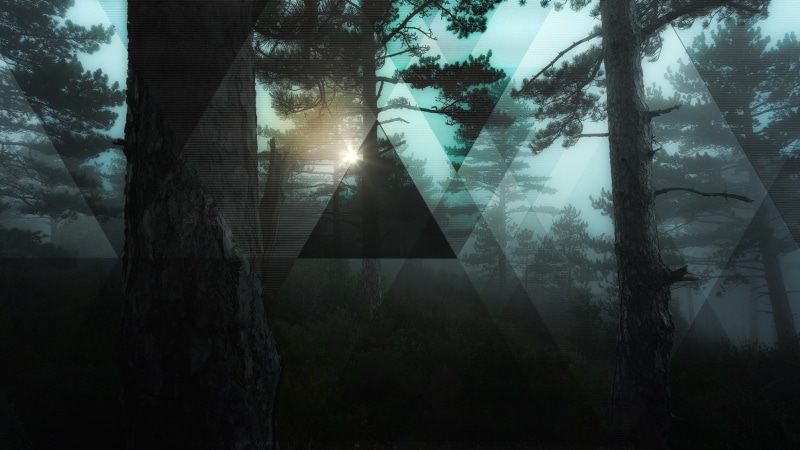 forest, 1080P, trees, triangle, geometry, digital art