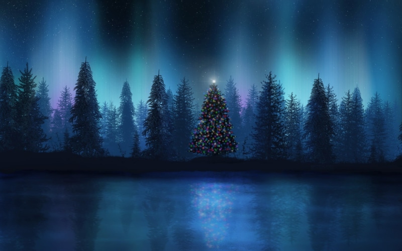aurorae, land, trees, scenics - nature, forest, tree, water, green, tranquil scene, pine tree, woodland, cold temperature, Christmas Tree, sky, no people