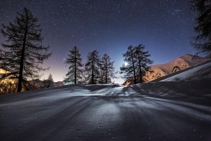the way forward, space, astronomy, landscape, road, night, scenics - nature, trees, stars, star - space, winter, Moon, nature, 1080P, beauty in nature