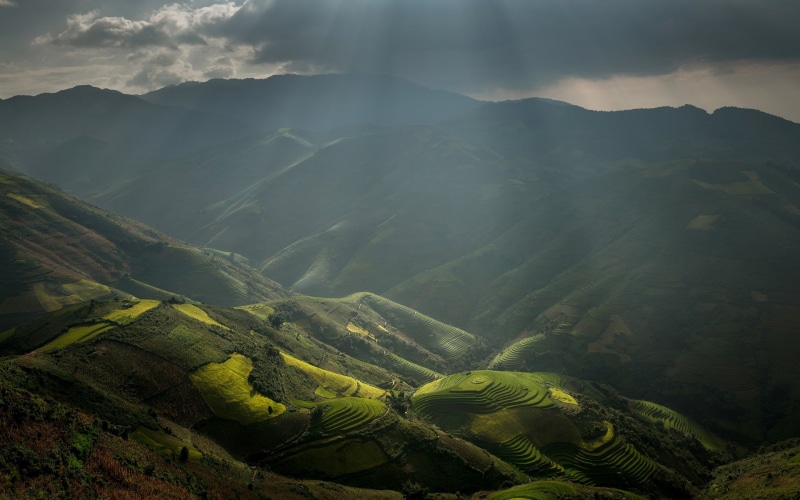 mountain, nature, terraced field, rice - cereal plant, no people, rural scene, farm, mist, rice paddy, clouds, sun rays, environment, terrace, outdoors
