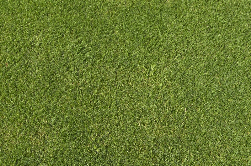 2K, green, grass, texture, simple