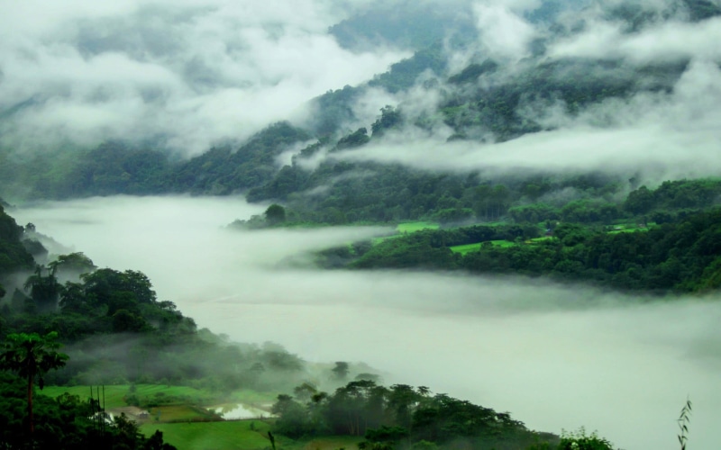 outdoors, tranquil scene, spring, forest, fog, day, body, cloud - sky, river, trees, sky, growth, beauty in nature, scenics - nature, mountains, water