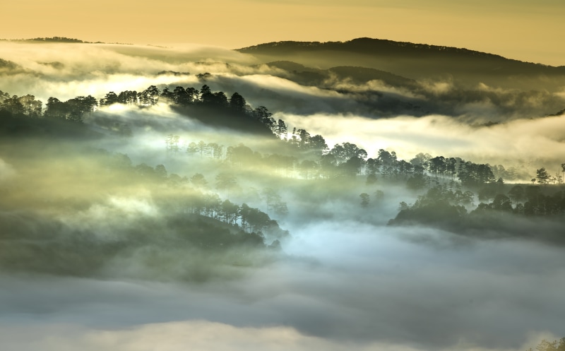 hazy, Scenery, silhouette, Vietnam, cloud - sky, Hill, dramatic sky, outdoors, Asia, fog, morning, tranquility, environment, scenics - nature, Woods, plant