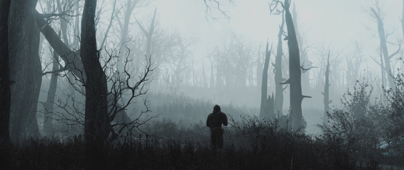 leisure activity, tranquility, woodland, hazy, day, beauty in nature, 5K, outdoors, tree, trunk, trees, land, withered, tranquil scene, Fallout 4, Fallout