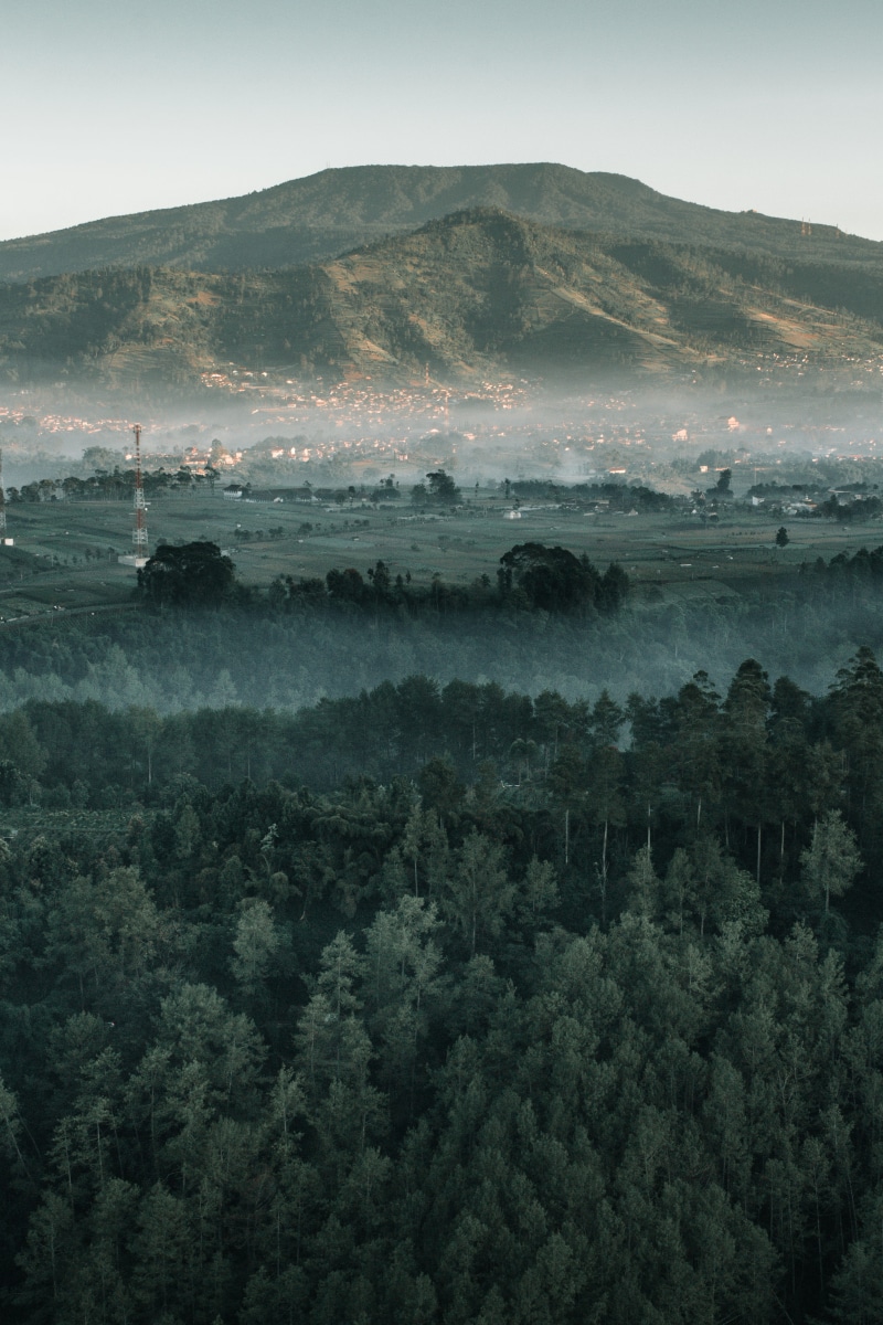 growth, fog, sky, idyllic, home, cloudy, scenics - nature, outdoors, city, lembang, mountain, trees, planet, non-urban scene, high angle view, tranquil scene