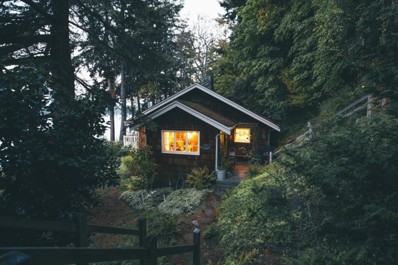 architecture, growth, forest, day, built structure, tranquil scene, green color, lush foliage, no people, black, trees, cabin, 1080P, house, tranquility