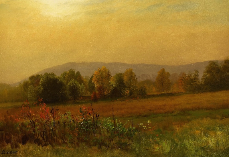 picture, 1080P, nature, Autumn Landscape, Albert Bierstadt