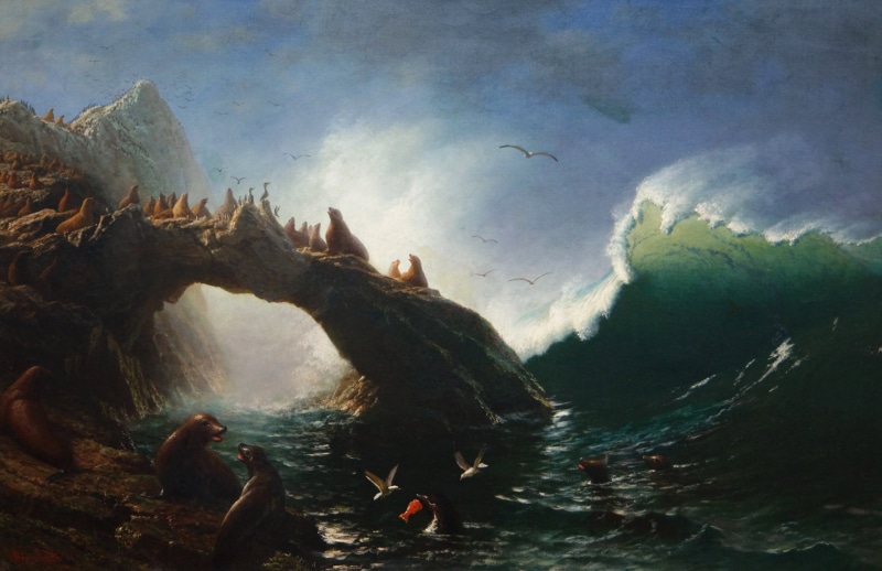 seascape, seals, Albert Bierstadt, 1080P, picture, Farallon Island
