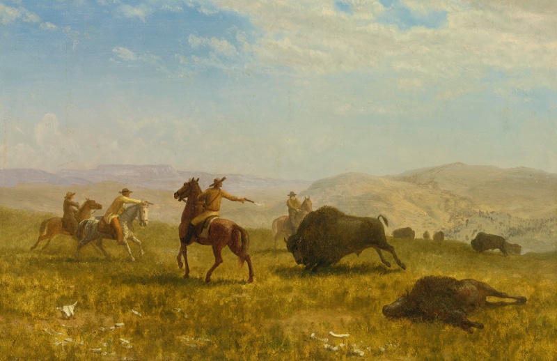 cowboy, hunting, 1080P, Albert Bierstadt, Buffalo, Wild West, picture