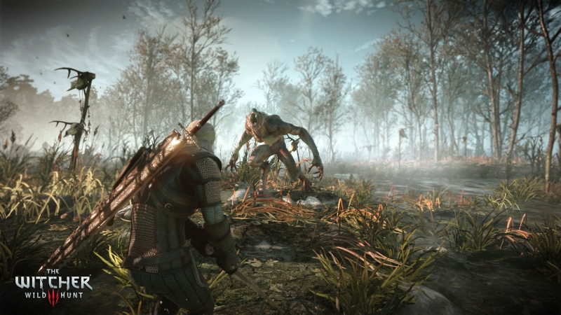 The Witcher 3: Wild Hunt, Geralt of Rivia, fire, fire - Natural Phenomenon, digital, males, young Adult, horror, swamp, plant, witcher, day, two people
