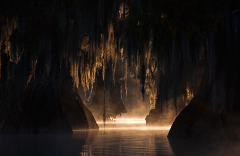tranquil scene, night, table, morning, black, sunlight, cave, reflection, illuminated, swamp, fog, trees, mist, silhouette, brown, no people, tree, nature