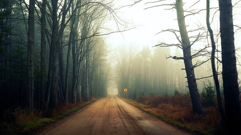 beauty In Nature, autumn, scenics, 1080P, dark, fog, morning, rural Scene, dusk, dawn, woodland, transportation, day, nature, magic, land, vanishing point