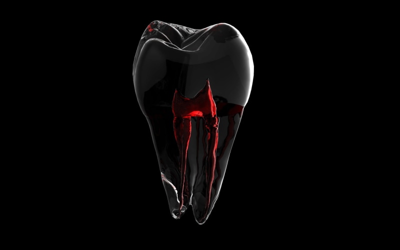 flame, motion, single object, close-up, studio shot, copy space, 3d model, aggression, black background, fire, tooth, 1080P, black color, burning, still life