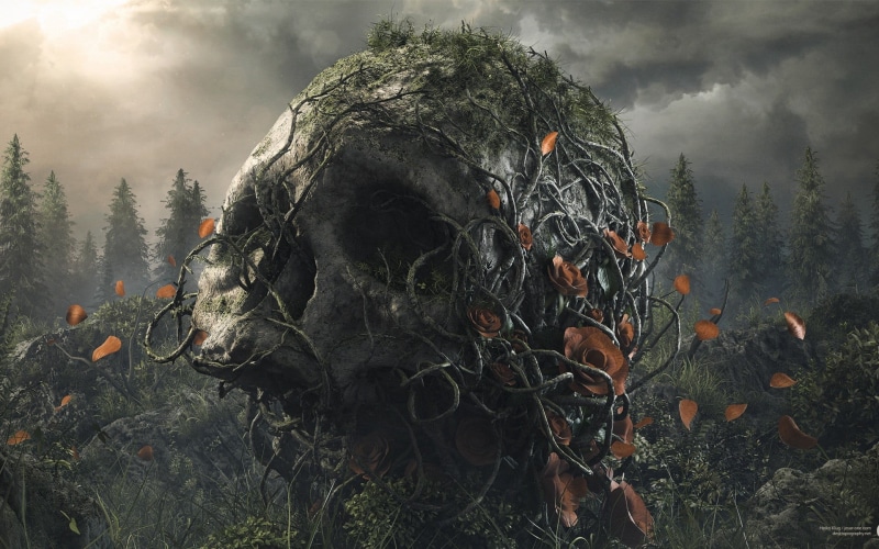 outdoors, sky, cloud - sky, non-urban scene, environment, dark, painting, forest, day, land, pine tree, fog, beauty in nature, skull, forest fire, petals