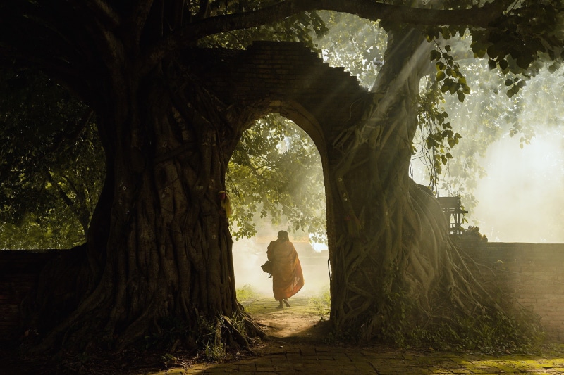 roots, real people, day, one person, trunk, architecture, plant, land, tree, tree trunk, garden, lifestyles, growth, sunlight, nature, leisure activity