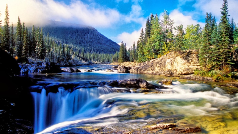 nature, dense, mountain, 2K, waterfall, rock, forest, background, spruce, river