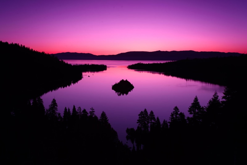 plant, pink, scenics - nature, nature, photography, purple sky, idyllic, forest, reflection, sky, tranquil scene, non-urban scene, water, landscape, dark