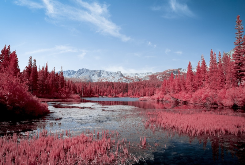 lake, autumn, 4k, pink, 5k, nature, tress, hd, photography, 5K
