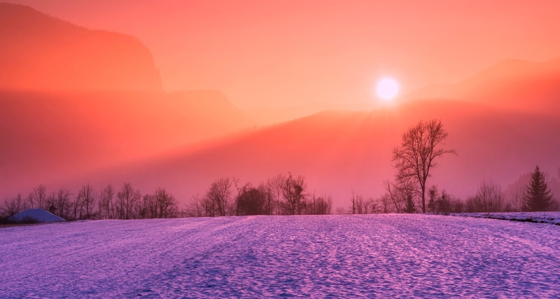 coniferous tree, snow, haze, frozen, scenics, fog, 1080P, cold temperature, sunrise, beautiful, colors, trees, landscape, farm, environment, sunset, brown