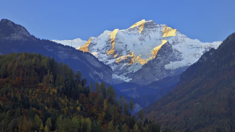 alps, jungfrau, 1080P, green, tress, mountain, switzerland, nature, 1920x1080, europe