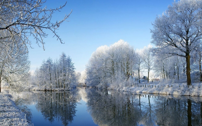 cold, forest, 1080P, snowy, reflection, winter, tress, season, sky, snow, nature, water, trees