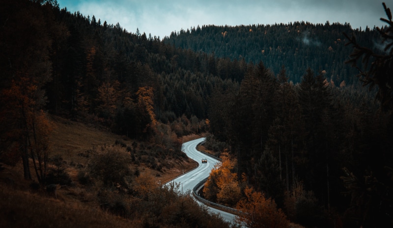 mountain, mountain road, fall, night, autumn, 4K, road trip, daytime, tree, mode of transportation, pine woodland, plant, coniferous tree, pine tree, tress