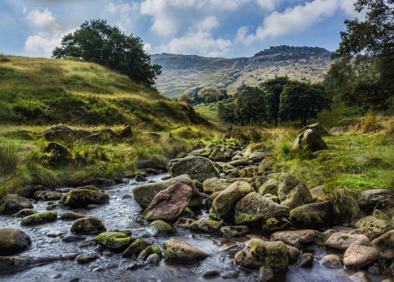 canon, scenics, tress, daytime, green grass, rocky, summer, grass, green, hdr, 5K, rocks, grass field, rock - Object, water, stream, waterfall, river