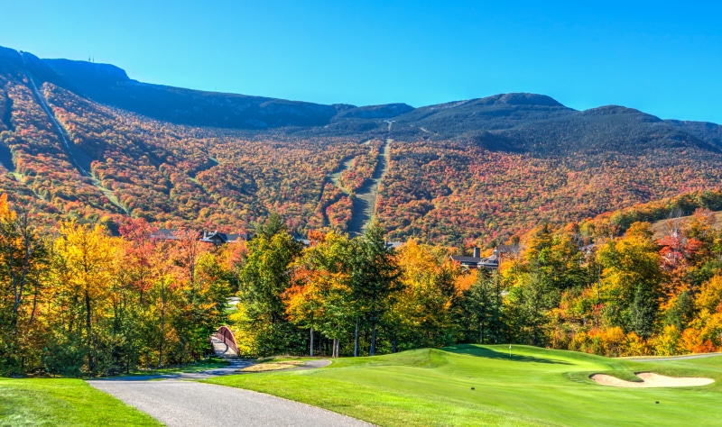 green, golf course, change, tress, grass, environment, tree, Autumn, tranquility, scenic, nature, plant, fall, landscape, activity, no people, land, outdoors