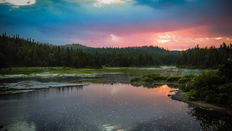 shore, vacation, tree, reflection lake, cloud, coast, pine tree, shoreline, tranquil scene, lakeside, mountains, sea, beauty in nature, scene, pine woodland
