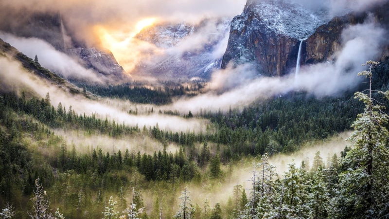 evergreen tree, woodland, beauty in nature, forest, mountains, pinaceae, mountain, snow, plant, winter, coniferous tree, scenics - nature, environment